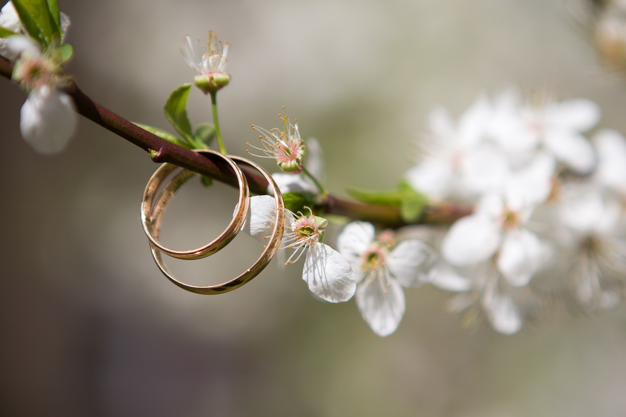 wedding, rings, spring-3369645.jpg